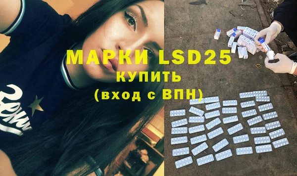 индика Алзамай