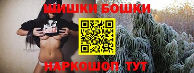 Альфа ПВП Дубна