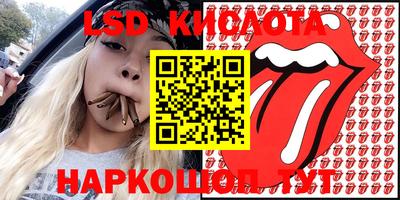 Альфа ПВП Дубна
