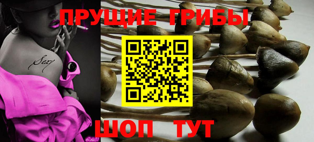 Магнитогорск  Галлюциногенные грибы ЛСД  Вход с VPN 
