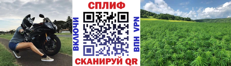 как найти закладки Магнитогорск Марихуана гибрид